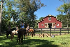 barnpic